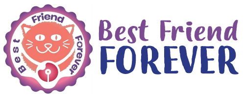 catgroomingbff.com-website-menu